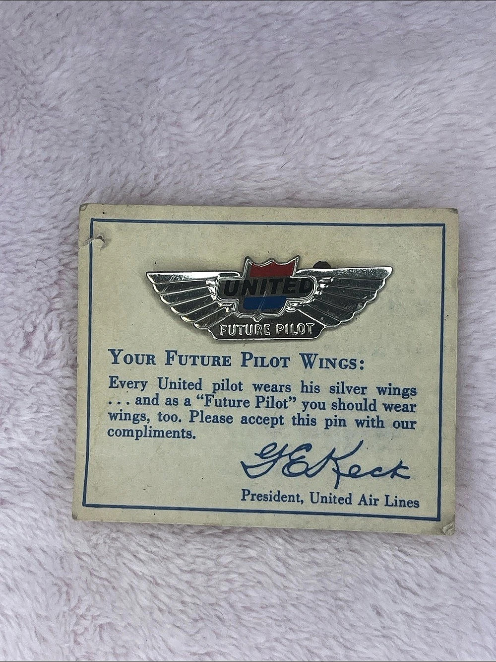 United Airlines Future Pilot Wings pin Silver & Blue